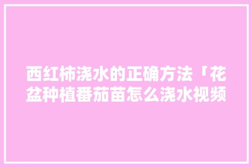 西红柿浇水的正确方法「花盆种植番茄苗怎么浇水视频」 西红柿浇水的正确方法「花盆种植番茄苗怎么浇水视频」 花朵知识
