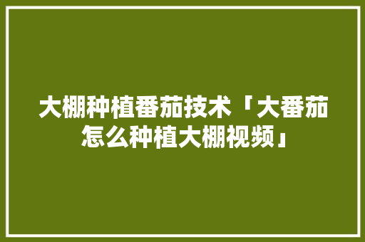 大棚种植番茄技术「大番茄怎么种植大棚视频」 大棚种植番茄技术「大番茄怎么种植大棚视频」 植物种类