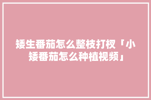 矮生番茄怎么整枝打杈「小矮番茄怎么种植视频」 矮生番茄怎么整枝打杈「小矮番茄怎么种植视频」 农业常识