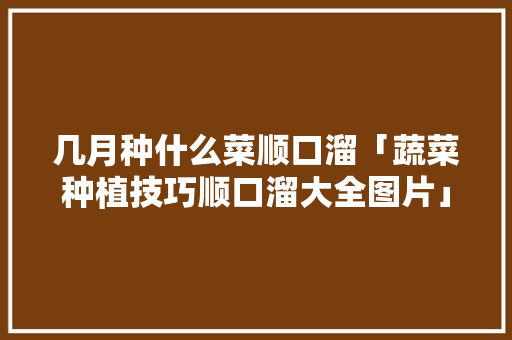 几月种什么菜顺口溜「蔬菜种植技巧顺口溜大全图片」 几月种什么菜顺口溜「蔬菜种植技巧顺口溜大全图片」 花朵知识