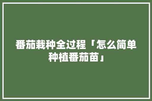 番茄栽种全过程「怎么简单种植番茄苗」 番茄栽种全过程「怎么简单种植番茄苗」 番茄病虫害防治