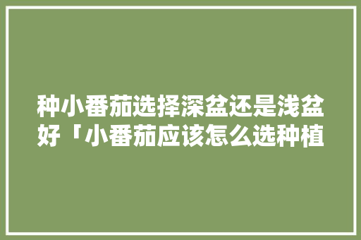 种小番茄选择深盆还是浅盆好「小番茄应该怎么选种植方法」 种小番茄选择深盆还是浅盆好「小番茄应该怎么选种植方法」 番茄病虫害防治