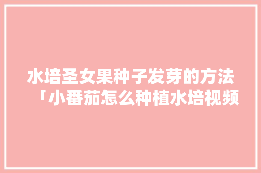 水培圣女果种子发芽的方法「小番茄怎么种植水培视频」 水培圣女果种子发芽的方法「小番茄怎么种植水培视频」 番茄病虫害防治