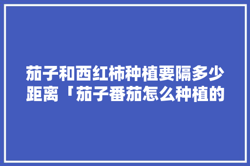 茄子和西红柿种植要隔多少距离「茄子番茄怎么种植的视频」 茄子和西红柿种植要隔多少距离「茄子番茄怎么种植的视频」 农业常识