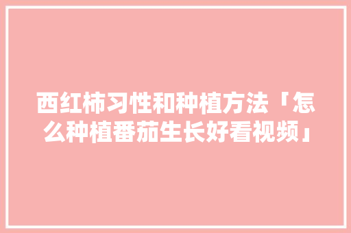西红柿习性和种植方法「怎么种植番茄生长好看视频」 西红柿习性和种植方法「怎么种植番茄生长好看视频」 番茄种植技巧