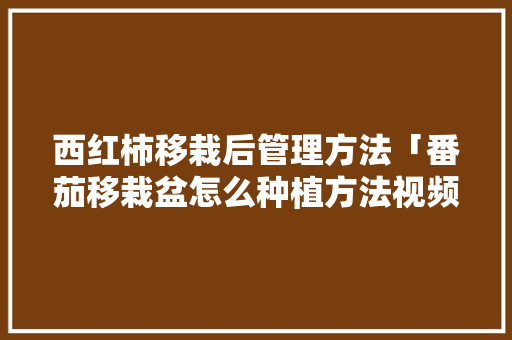 西红柿移栽后管理方法「番茄移栽盆怎么种植方法视频」 西红柿移栽后管理方法「番茄移栽盆怎么种植方法视频」 番茄种植技巧