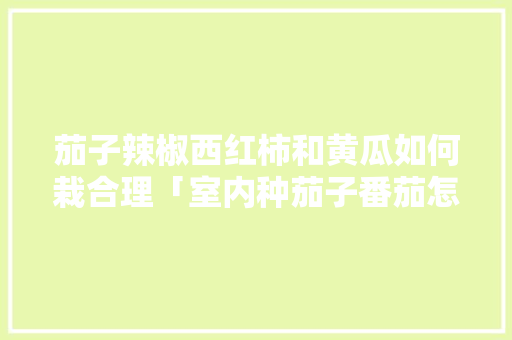 茄子辣椒西红柿和黄瓜如何栽合理「室内种茄子番茄怎么种植视频」 茄子辣椒西红柿和黄瓜如何栽合理「室内种茄子番茄怎么种植视频」 种植技巧