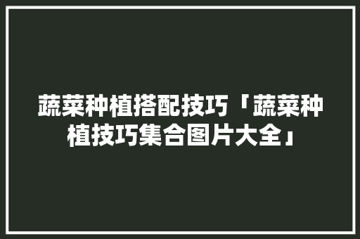 蔬菜种植搭配技巧「蔬菜种植技巧集合图片大全」 番茄种植技巧 蔬菜种植搭配技巧「蔬菜种植技巧集合图片大全」 蔬菜种植搭配技巧「蔬菜种植技巧集合图片大全」 番茄种植技巧