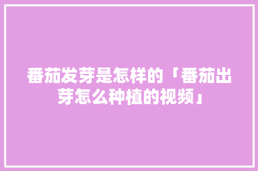 番茄发芽是怎样的「番茄出芽怎么种植的视频」 番茄发芽是怎样的「番茄出芽怎么种植的视频」 土壤施肥