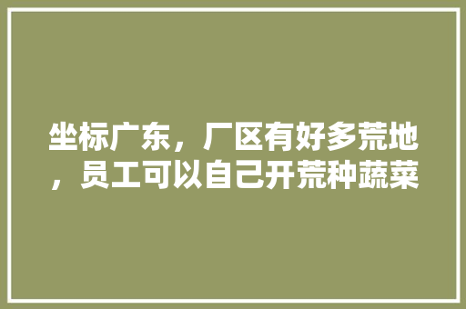 坐标广东，厂区有好多荒地，员工可以自己开荒种蔬菜，准备每天下班花半个小时开荒种菜，各位有什么好建议「广东蔬菜种植小技巧视频」 坐标广东，厂区有好多荒地，员工可以自己开荒种蔬菜，准备每天下班花半个小时开荒种菜，各位有什么好建议「广东蔬菜种植小技巧视频」 番茄种植技巧