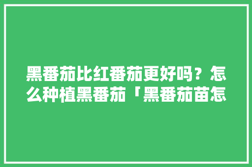 黑番茄比红番茄更好吗？怎么种植黑番茄「黑番茄苗怎么种植管理视频」 黑番茄比红番茄更好吗？怎么种植黑番茄「黑番茄苗怎么种植管理视频」 花朵知识