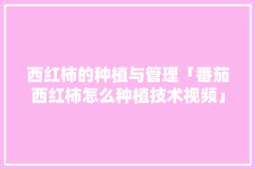 西红柿的种植与管理「番茄西红柿怎么种植技术视频」 西红柿的种植与管理「番茄西红柿怎么种植技术视频」 番茄病虫害防治