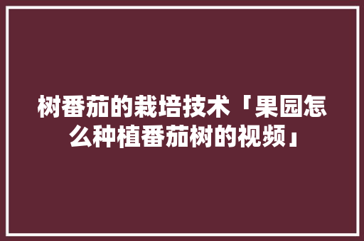 树番茄的栽培技术「果园怎么种植番茄树的视频」 树番茄的栽培技术「果园怎么种植番茄树的视频」 农业常识