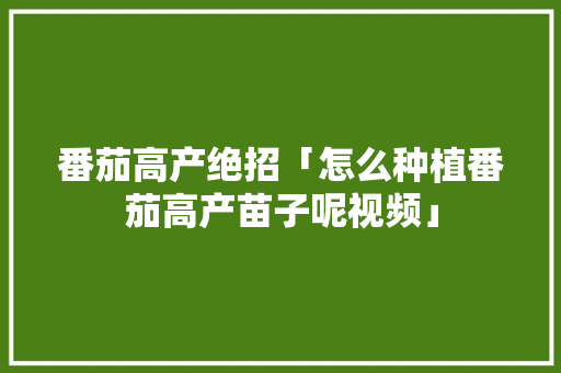 番茄高产绝招「怎么种植番茄高产苗子呢视频」 番茄高产绝招「怎么种植番茄高产苗子呢视频」 番茄种植技巧
