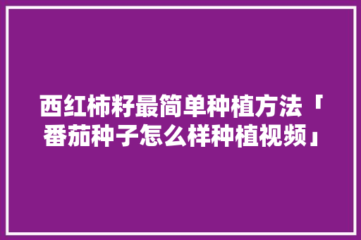 西红柿籽最简单种植方法「番茄种子怎么样种植视频」 土壤施肥 西红柿籽最简单种植方法「番茄种子怎么样种植视频」 西红柿籽最简单种植方法「番茄种子怎么样种植视频」 土壤施肥