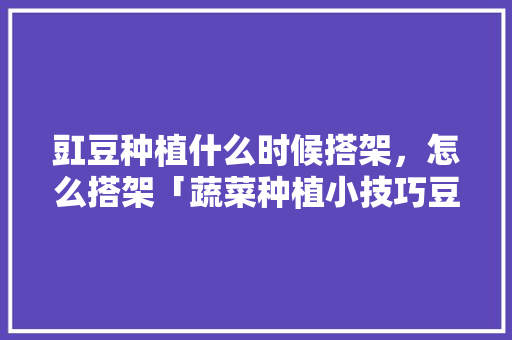 豇豆种植什么时候搭架，怎么搭架「蔬菜种植小技巧豆芽视频教程」