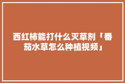 西红柿能打什么灭草剂「番茄水草怎么种植视频」 西红柿能打什么灭草剂「番茄水草怎么种植视频」 植物种类