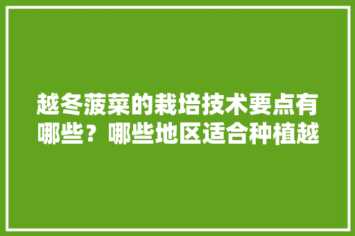越冬菠菜的栽培技术要点有哪些？哪些地区适合种植越冬菠菜「矮杆小番茄怎么种植视频」