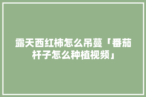 露天西红柿怎么吊蔓「番茄杆子怎么种植视频」 露天西红柿怎么吊蔓「番茄杆子怎么种植视频」 土壤施肥