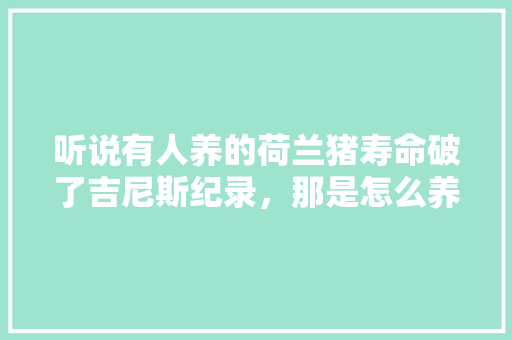 听说有人养的荷兰猪寿命破了吉尼斯纪录，那是怎么养的「萌宠种植园番茄怎么种植的」 听说有人养的荷兰猪寿命破了吉尼斯纪录，那是怎么养的「萌宠种植园番茄怎么种植的」 番茄病虫害防治