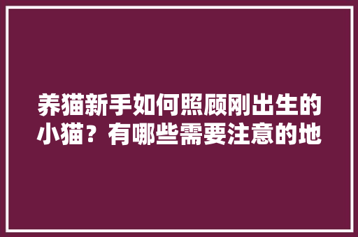 养猫新手如何照顾刚出生的小猫？有哪些需要注意的地方「鸡心番茄怎么种植视频教程」