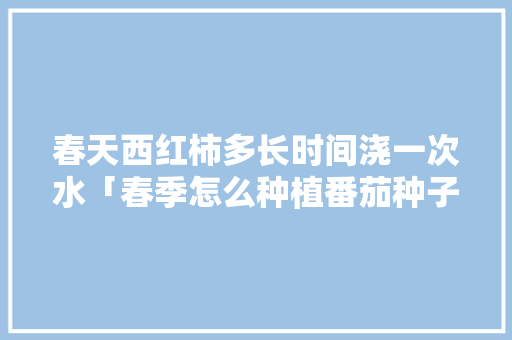 春天西红柿多长时间浇一次水「春季怎么种植番茄种子」 春天西红柿多长时间浇一次水「春季怎么种植番茄种子」 花朵知识