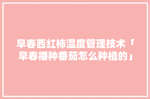 早春西红柿温度管理技术「早春播种番茄怎么种植的」 早春西红柿温度管理技术「早春播种番茄怎么种植的」 种植技巧