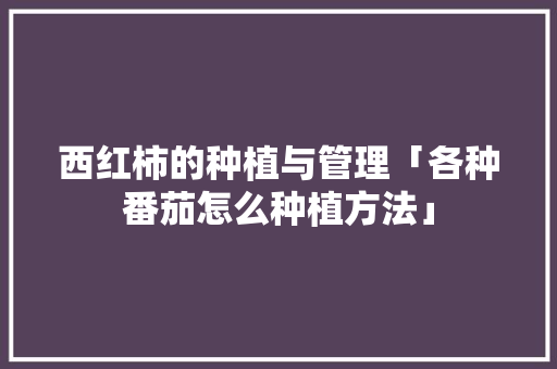 西红柿的种植与管理「各种番茄怎么种植方法」 西红柿的种植与管理「各种番茄怎么种植方法」 种植技巧