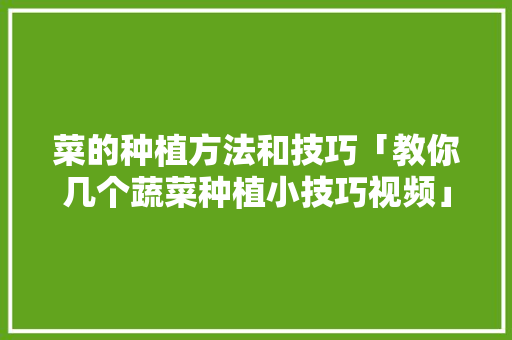 菜的种植方法和技巧「教你几个蔬菜种植小技巧视频」 菜的种植方法和技巧「教你几个蔬菜种植小技巧视频」 番茄种植技巧