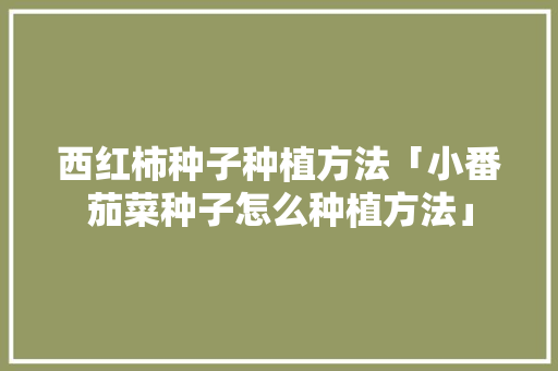 西红柿种子种植方法「小番茄菜种子怎么种植方法」 西红柿种子种植方法「小番茄菜种子怎么种植方法」 种植技巧