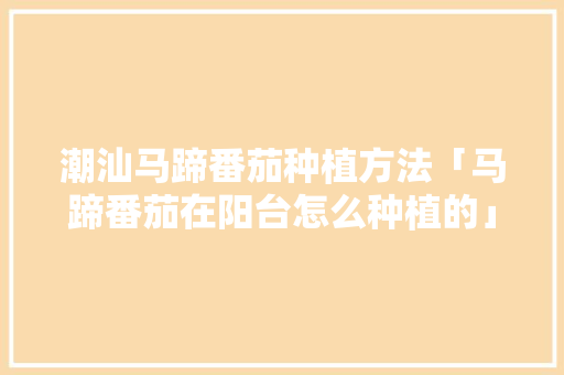 潮汕马蹄番茄种植方法「马蹄番茄在阳台怎么种植的」 潮汕马蹄番茄种植方法「马蹄番茄在阳台怎么种植的」 番茄病虫害防治