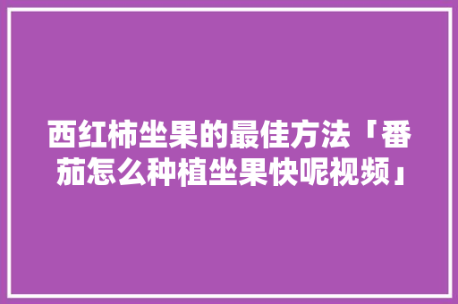 西红柿坐果的最佳方法「番茄怎么种植坐果快呢视频」