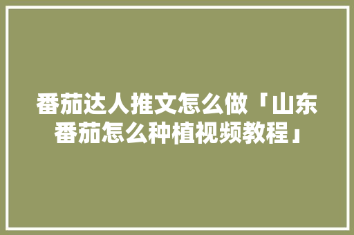 番茄达人推文怎么做「山东番茄怎么种植视频教程」 番茄达人推文怎么做「山东番茄怎么种植视频教程」 种植技巧