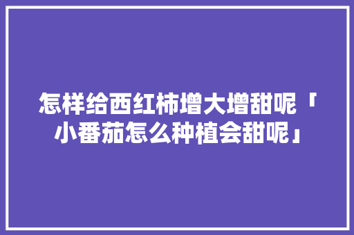怎样给西红柿增大增甜呢「小番茄怎么种植会甜呢」 怎样给西红柿增大增甜呢「小番茄怎么种植会甜呢」 花朵知识