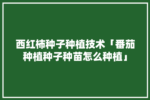 西红柿种子种植技术「番茄种植种子种苗怎么种植」 西红柿种子种植技术「番茄种植种子种苗怎么种植」 番茄种植技巧