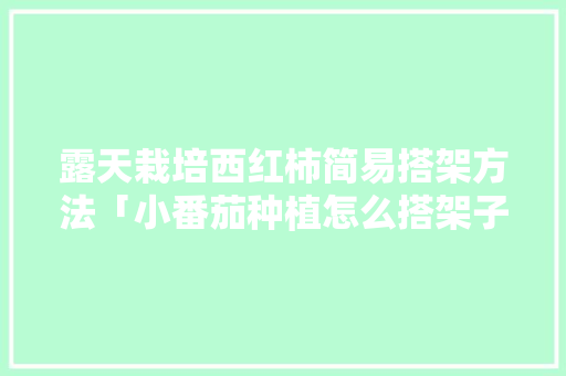 露天栽培西红柿简易搭架方法「小番茄种植怎么搭架子」 露天栽培西红柿简易搭架方法「小番茄种植怎么搭架子」 土壤施肥
