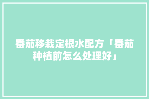 番茄移栽定根水配方「番茄种植前怎么处理好」 番茄移栽定根水配方「番茄种植前怎么处理好」 番茄种植技巧