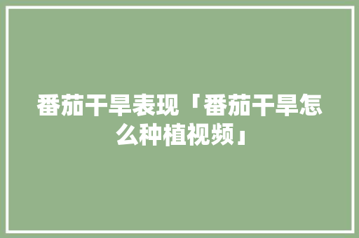 番茄干旱表现「番茄干旱怎么种植视频」 番茄干旱表现「番茄干旱怎么种植视频」 土壤施肥