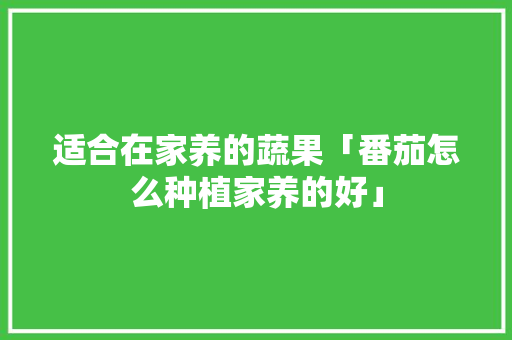 适合在家养的蔬果「番茄怎么种植家养的好」 适合在家养的蔬果「番茄怎么种植家养的好」 土壤施肥