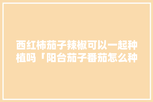 西红柿茄子辣椒可以一起种植吗「阳台茄子番茄怎么种植视频」 西红柿茄子辣椒可以一起种植吗「阳台茄子番茄怎么种植视频」 花朵知识