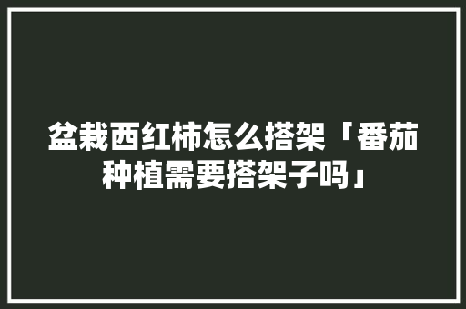 盆栽西红柿怎么搭架「番茄种植需要搭架子吗」