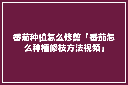 番茄种植怎么修剪「番茄怎么种植修枝方法视频」 番茄种植怎么修剪「番茄怎么种植修枝方法视频」 农业常识