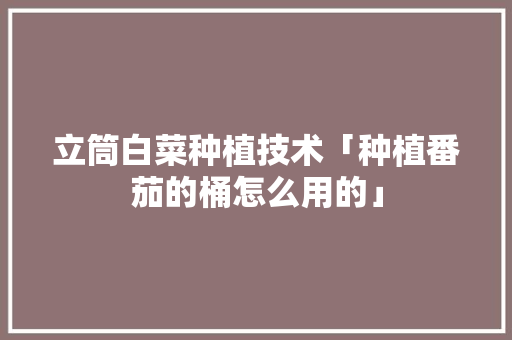 立筒白菜种植技术「种植番茄的桶怎么用的」 立筒白菜种植技术「种植番茄的桶怎么用的」 番茄病虫害防治