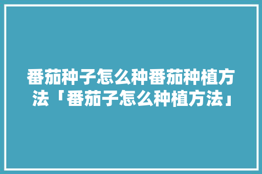 番茄种子怎么种番茄种植方法「番茄子怎么种植方法」 番茄种子怎么种番茄种植方法「番茄子怎么种植方法」 花朵知识