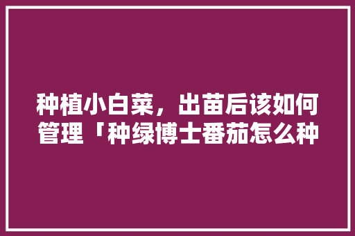 种植小白菜，出苗后该如何管理「种绿博士番茄怎么种植的」