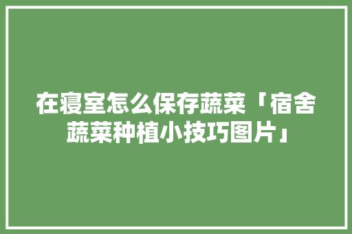 在寝室怎么保存蔬菜「宿舍蔬菜种植小技巧图片」 在寝室怎么保存蔬菜「宿舍蔬菜种植小技巧图片」 花朵知识