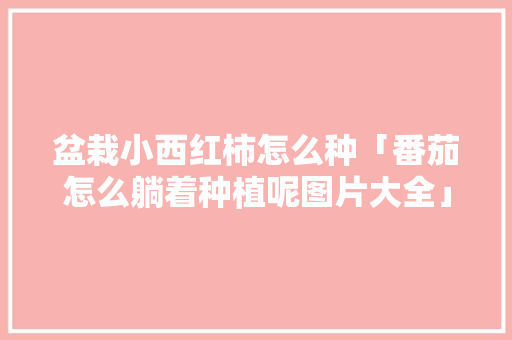 盆栽小西红柿怎么种「番茄怎么躺着种植呢图片大全」 盆栽小西红柿怎么种「番茄怎么躺着种植呢图片大全」 农业常识