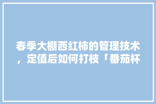 春季大棚西红柿的管理技术，定值后如何打枝「番茄杯苗怎么种植的视频」 春季大棚西红柿的管理技术，定值后如何打枝「番茄杯苗怎么种植的视频」 番茄种植技巧