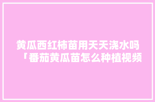黄瓜西红柿苗用天天浇水吗「番茄黄瓜苗怎么种植视频」 黄瓜西红柿苗用天天浇水吗「番茄黄瓜苗怎么种植视频」 番茄种植技巧