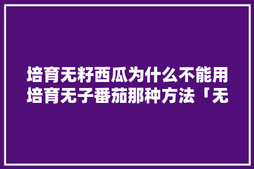 培育无籽西瓜为什么不能用培育无子番茄那种方法「无籽黄色番茄怎么种植的」